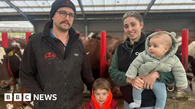 Dairy farmers struggle to survive as milk prices fall below production costs