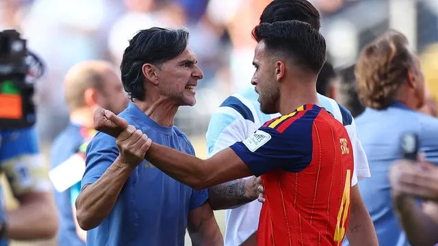 Roberto Ayala claims post-match clash was a push