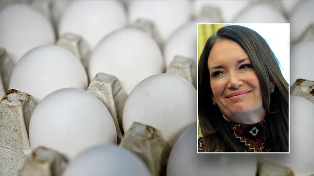 Wholesale egg prices plummet as USDA takes action