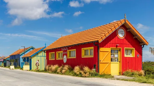 Airbnb faces €8 million penalty for failing to collect tourist taxes