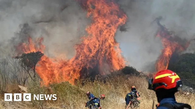 Bradford researchers leverage robotic dogs and AI to combat wildfires