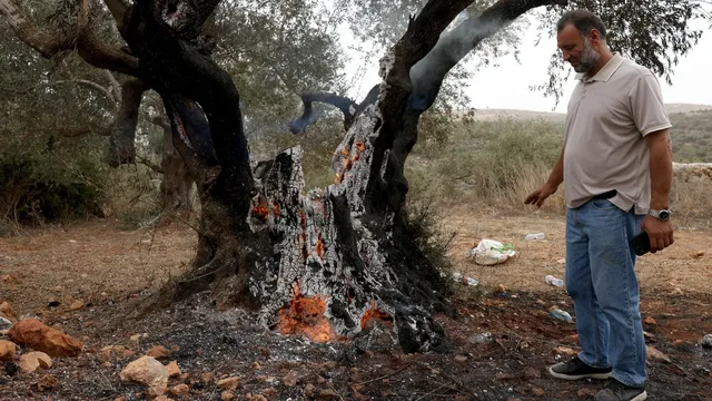 Masked Israeli settlers attack Palestinian olive harvesters in West Bank, injuring journalist