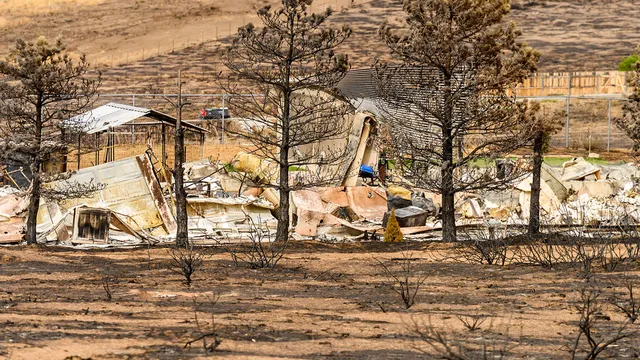 Nevada governor declares state of emergency as Hawk Fire spreads rapidly