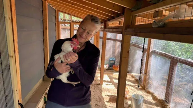 City fines woman $80,000 despite granting chicken permit