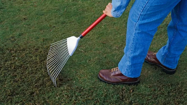 Tom Watson reveals the secret trick for a perfect lawn all year round