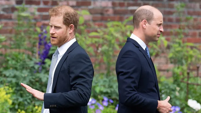Strained Relations Persist Between Princes William and Harry Amid Family Health Crises