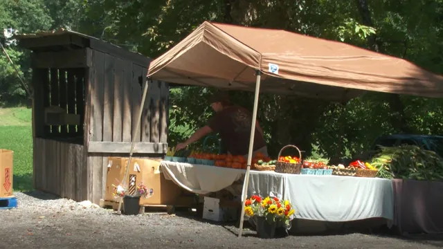 Young entrepreneurs rebuild after arson destroys their farm stand