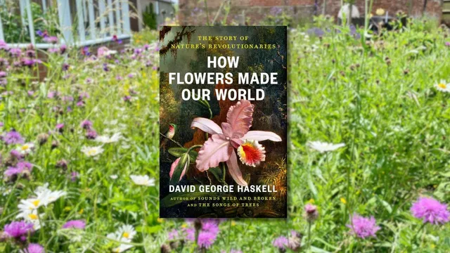 David Haskell reveals how flowers shaped our world