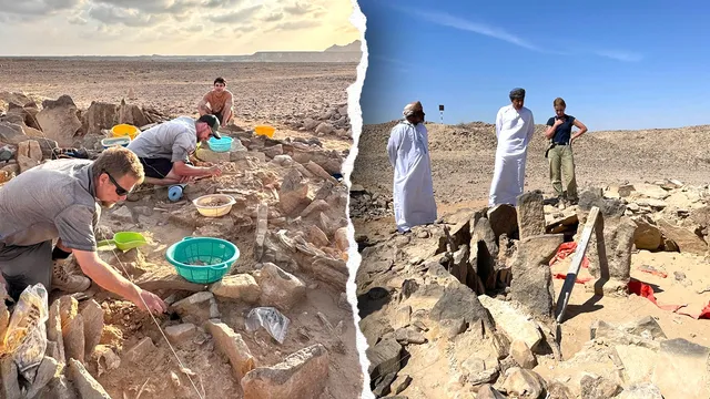 Ancient humans relied on shark meat for sustenance in Oman
