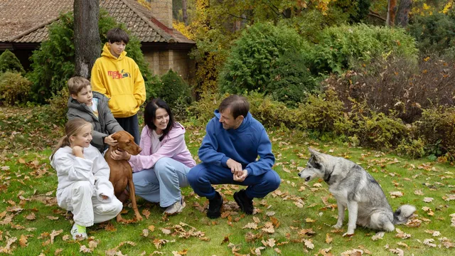 Animals left behind in Ukraine's war face dire circumstances
