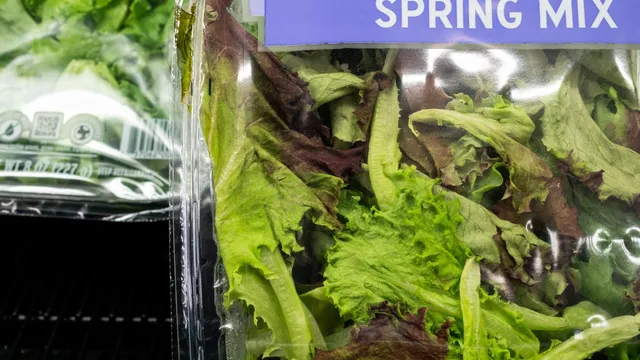 Cyclospora outbreak claims two lives in Michigan