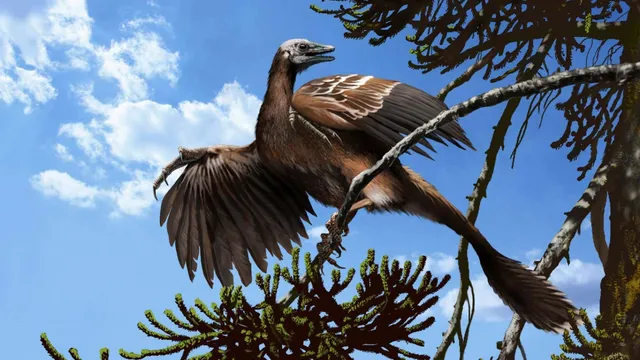Steve Brusatte reveals the evolution of birds in new book