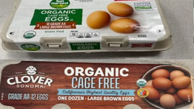 August Egg Company recalls 1.7 million eggs due to salmonella outbreak