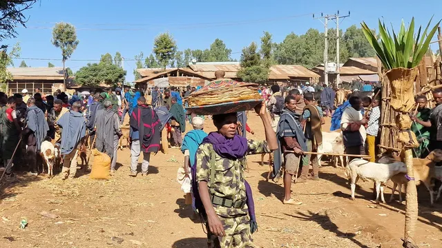 Fano rebels intensify fight against Ethiopian military in Amhara region