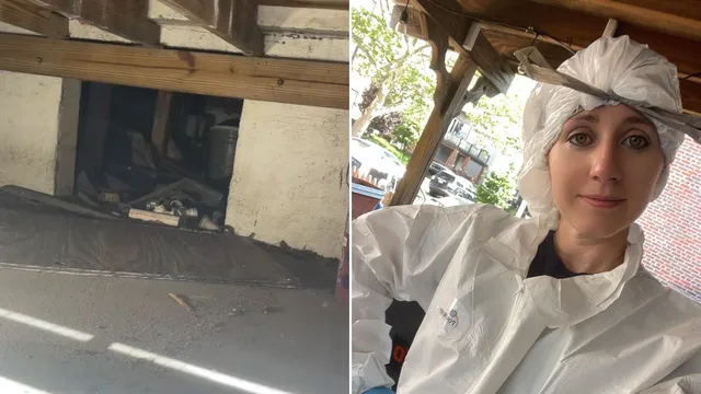 Woman discovers mummified cat while renovating inherited home