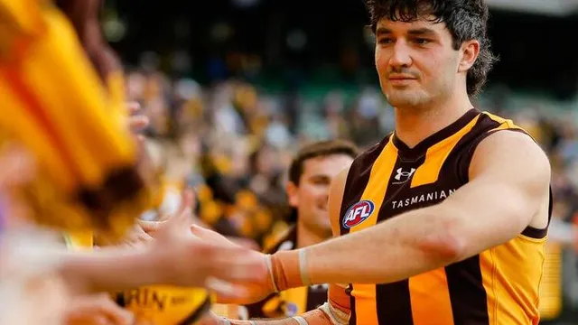 Australian rules football umpire Hayden Meyer says Hawthorn players threatened him after losing final