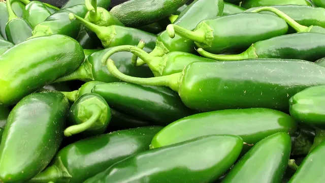 Salmonella outbreak linked to jalapeno peppers sickens hundreds across the U.S