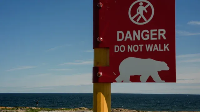 Tourism rescues Churchill from population decline after military base closure