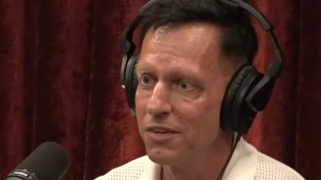 Peter Thiel Claims Epstein Influenced Gates' Charity to Protect Wealth