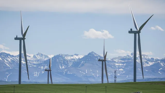 Alberta prioritizes agriculture in new renewable energy rules