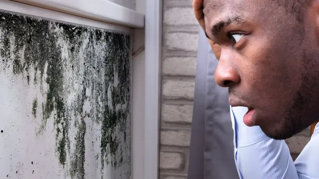 Distillery owner uncovers hidden loaded gun from Al Capone era