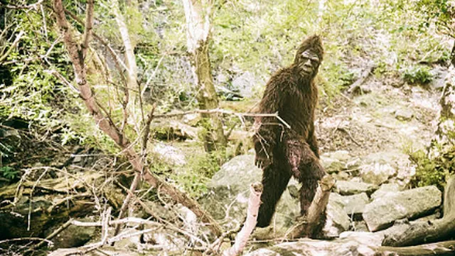 California could officially recognize Bigfoot as state cryptid