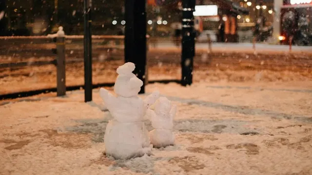 Over 100 people trapped by heavy snowfall seek refuge in Japanese shrine