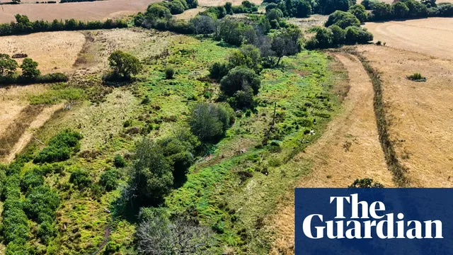 Rewilding projects show resilience against drought in England