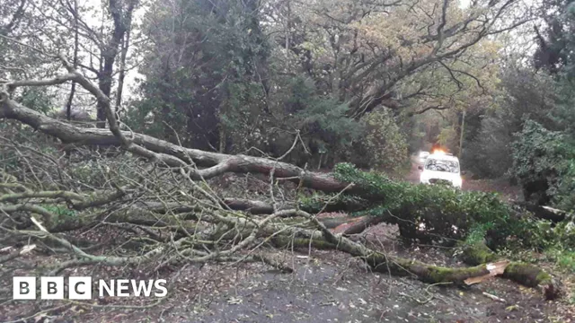 Storm Claudia disrupts rail services and creates chaos for passengers