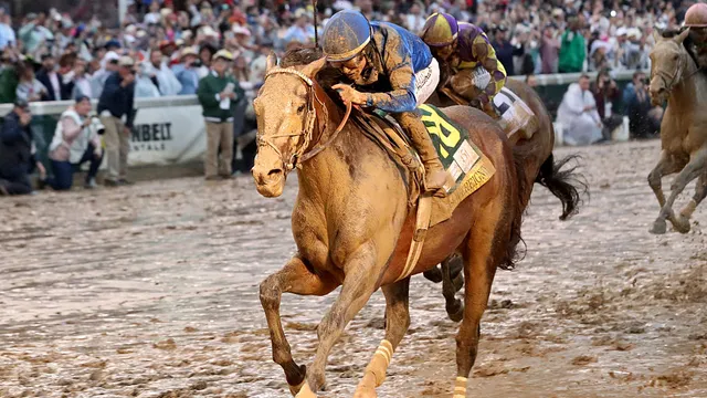 Sovereignty skips Preakness to focus on Belmont Stakes
