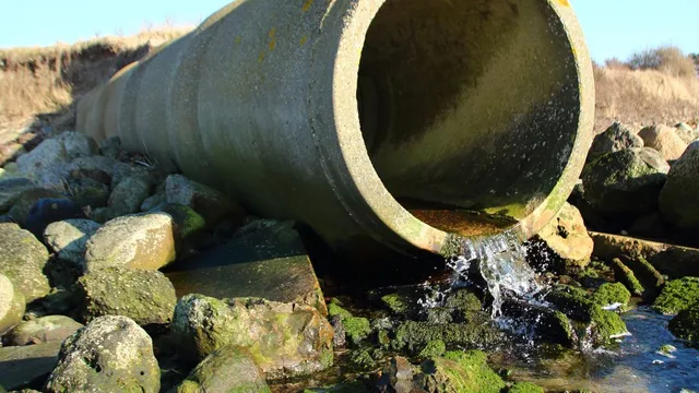 beachgoers face health risks from dangerous bacteria in Belfast Lough