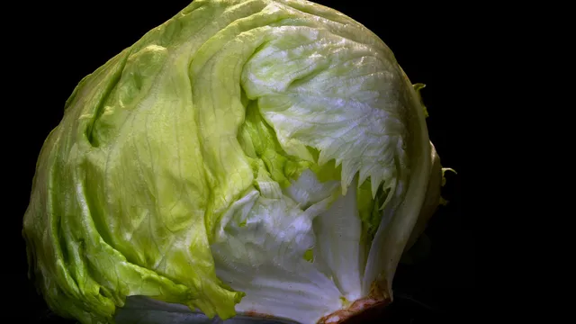 Michigan sees surge in cyclosporiasis cases linked to lettuce