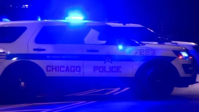Teenagers rob victims in downtown Chicago using fists and feet