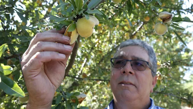 California farmers face devastation after Del Monte's bankruptcy