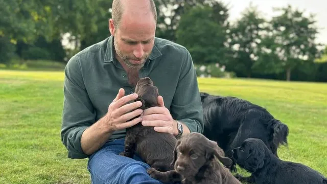 William and Kate breed dog amid backlash for being out of touch