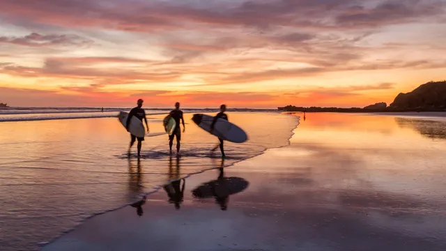 Macaws and turtles signal a surfer's paradise in Costa Rica