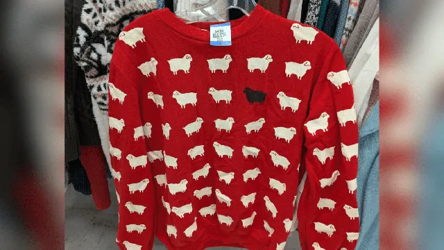 Thrift store find connects shopper with Princess Diana's iconic fashion