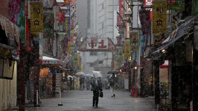 Japan's electricity prices hit highest level since January 2023