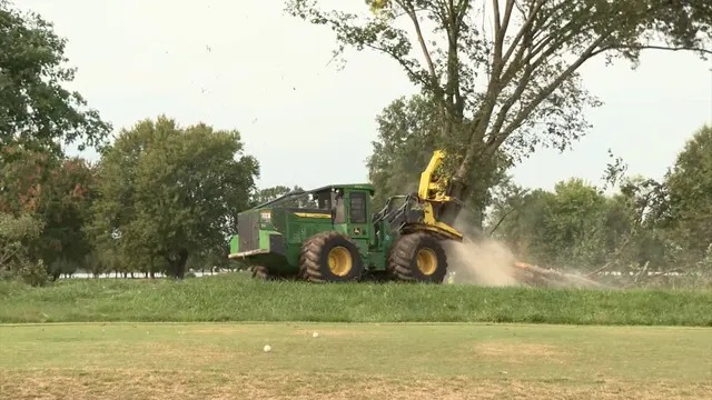 US National Park Service starts removing 169 trees at Washington D.C. golf course slated for Trump renovation