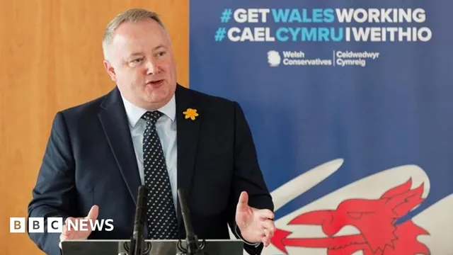 Rhun ap Iorwerth declares election a two-horse race in Wales