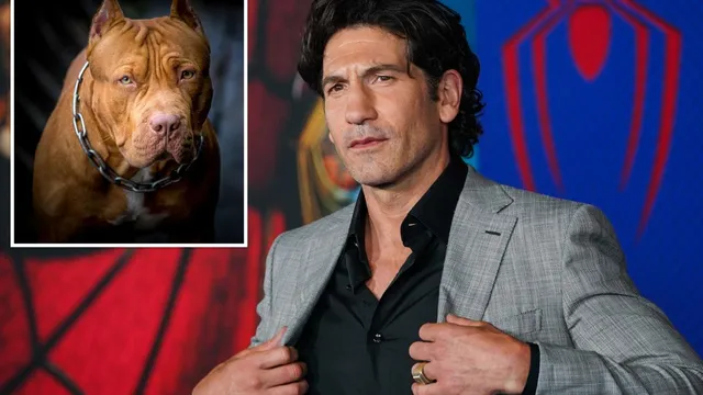 Jon Bernthal claims pit bulls face dog racism
