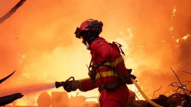 Two dead as wildfires rage across Belgium and Greece