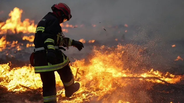 Over 325,000 evacuated as wildfires devastate France and Spain