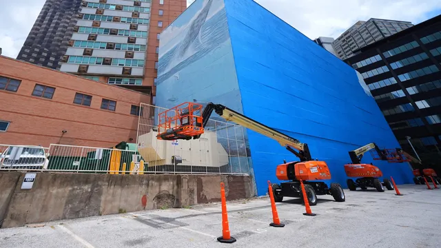 Artist Wyland sues FIFA for $25 million over mural destruction