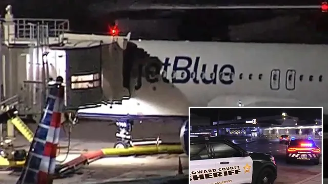Two bodies discovered in JetBlue plane's landing gear after flight from JFK