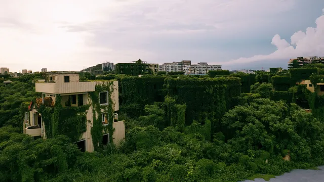 Nature adapts and thrives in the Anthropocene crisis