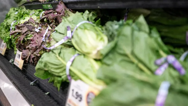FDA chief reassures Americans about food safety amid outbreak concerns