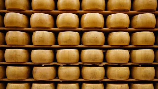 Extreme heat does not threaten Parmigiano Reggiano cheese production