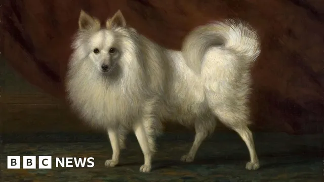 Celebrating Dogs in Art: Norfolk Exhibition Opens