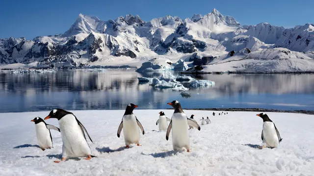 Explore the stunning wilderness of Antarctica this tourist season